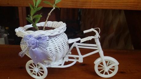 Stojan na kvety, vazu, sviecku, bicykel, trojkolka - Obrázok č. 1